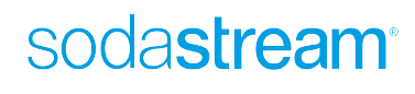 Spirit 90's logo